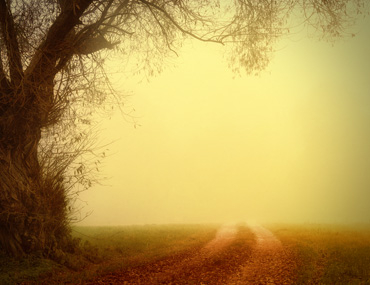 Wisdom Wednesdays: Walking the Path of Life